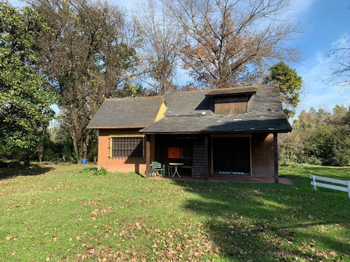 Imagen 6 de 26 de Quinta En Venta- Pilar