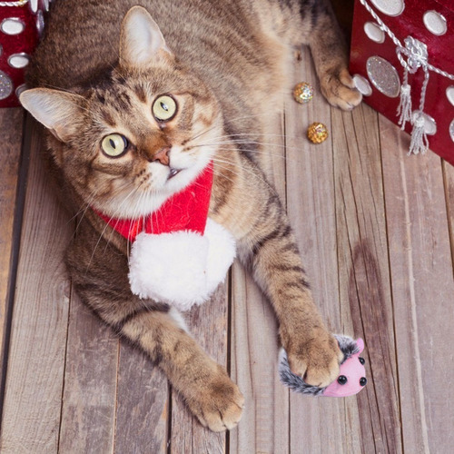 Juguetes De Peluche Para Gatos, 5 Unidades, Educativos Vibra