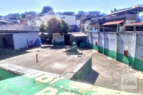 Imagem 3 de 11 de Lote À Venda No Santa Cruz - Código 266550 - 266550