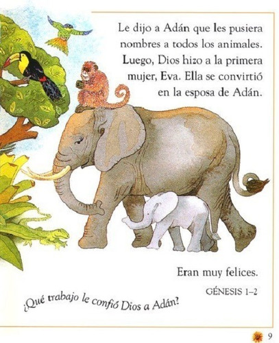 Imagen 6 de 9 de La Primera Biblia Para Niños Tapa Dura ( K. N. Taylor )