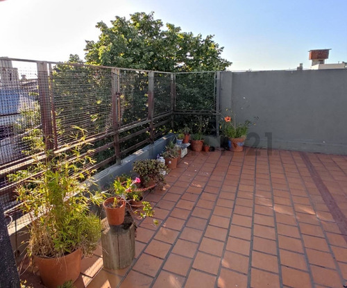 Imagen 19 de 19 de Alquiler Ph 3 Ambientes Con Quincho Y Terraza
