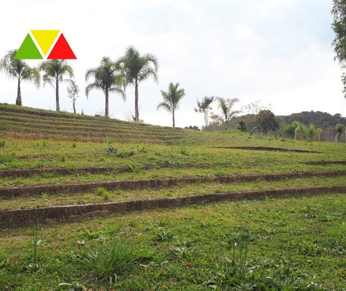 Imagem 24 de 28 de Chacara - Ch00145 - 69489936