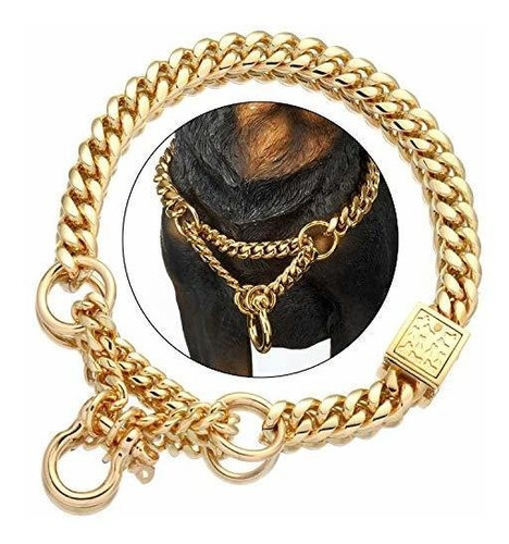 Gold Dog Martingale Collar Metal Chain With Design 5f23v