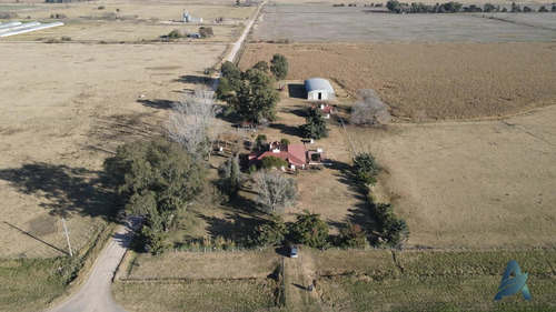 Imagen 5 de 30 de Campo Mixto - 27 Hectáreas - Con Excelentes Mejoras - Carmen De Areco