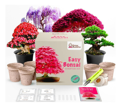 ¡haz Crecer Tu Propio Kit De Árbol Bonsái  | Cultiva...