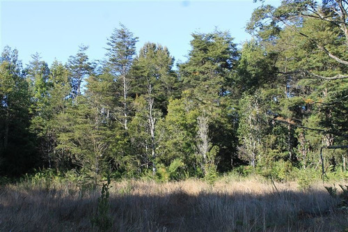 Imagen 5 de 30 de Agrícola En Venta En Puerto Varas