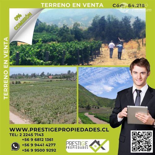 M64218 - Venta Terreno Viñas De Buin Sin Comision - 10 Ha