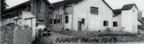 Carcasa de bomba centrífuga Famac Fgx con rotor de acero inoxidable, 0,75 A, 4 CV, color negro y verde, fase eléctrica, ambas frecuencias, N/A, ambas