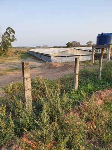 Imagem 5 de 27 de Excelente Sitio A Venda Em Pereiras - 531