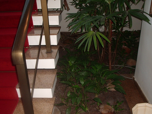 Imagem 30 de 30 de Casa - Ca00236 - 1851830