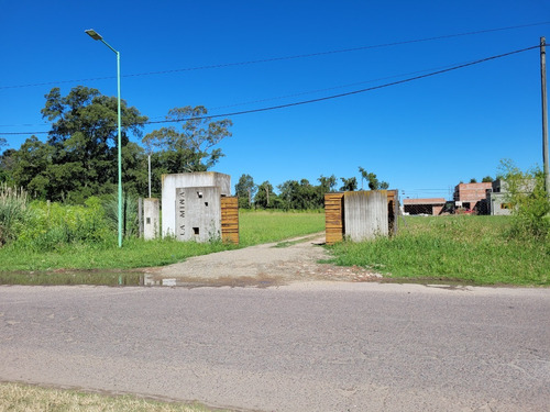 Imagen 2 de 8 de Terreno En Venta - 52 E/133 Y 135 - General Belgrano - 833 M².