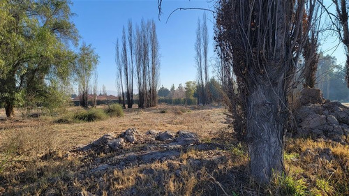 Imagen 7 de 23 de Sitio En Arriendo Camino A Batuco Orilla De Calle 5000 Mts2
