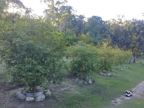 Imagem 29 de 30 de Sítio À Venda Em Juquitiba, Excelente Localização Na Rodovia Régis Bittencourt, Ideal Para Lazer, Moradia Ou Comercio - 85 - 70324044