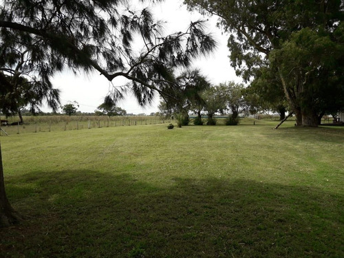 Imagen 8 de 18 de Venta Chacra 40 Hs Con Criadero De Cerdos En Las Flores.