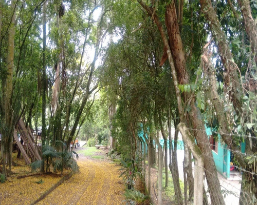 Chácara 3.200 M² - Palermo - Gravataí - Rs - 1597 - 32420118