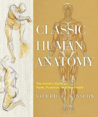Classic Human Anatomy : Designing Transformative Yoga Cla...