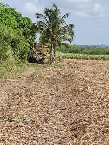 Vendo Esta Finca De 400 Tareas En San Pedro De Macoris