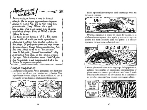 Natureza nojenta: Saber Horrível, de Arnold, Nick. Saber Horrível Editorial Melhoramentos, capa mole em português, 2021
