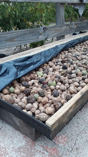 Imagen 28 de 30 de Finca En Venta En Los Molinos La Rioja