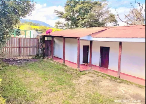 Excelente Finca Productora De Aguacate