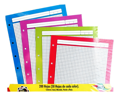 Repuesto Para Carpeta Tamaño Carta 200h 4 Colores 4 Materias