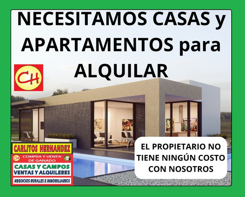 Necesitamos Ganado Para Venta