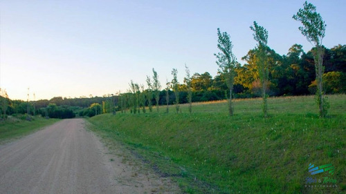 Los Tordillos Punta Ballenta Venta De Terreno De 2000 M2