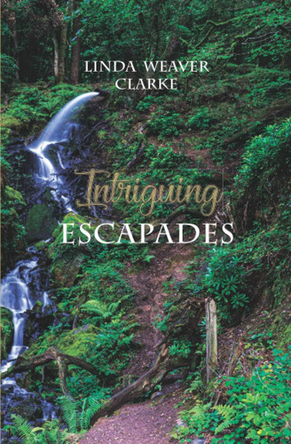 Libro: Escapades: The Adventures Of John And Julia Evans, 5