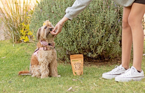 Premios Para Perro Hipoalergénicos, Naturales, Con Proteína.