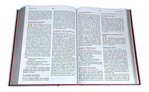 Imagen 4 de 6 de Biblia Familiar De Lujo Letra Gigante Diccionario Cafe Rvr60