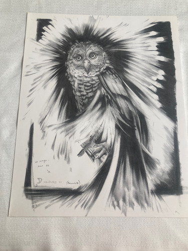 Divertimentos, Cinco Dibujos De Rafael Cauduro (Usado)