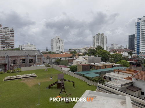 Imagen 11 de 22 de Apartamento De Dos Dormitorios Y Un Baño