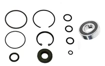 Comprar Aptr Kit Bomba Dirección Hidráulica Chevrolet Captiva