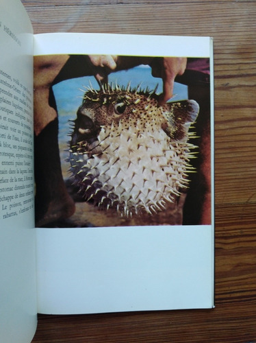 Poissons Des Mers Chaudes - Nicolas G. Wlandi (Usado)