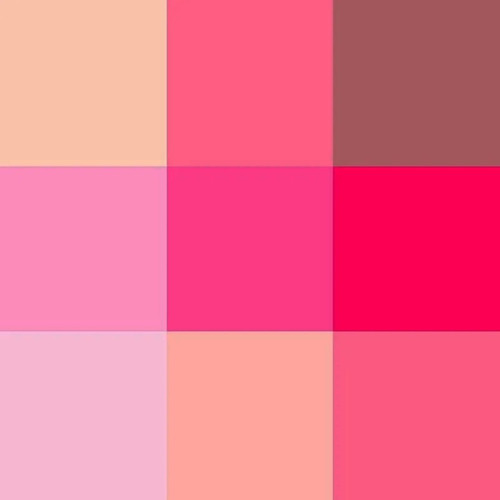 Paleta De Sombras Linha Olhos Ref 01 Zanphy