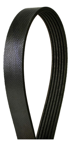 4060820 Oe Technology Series Multi-v Belt