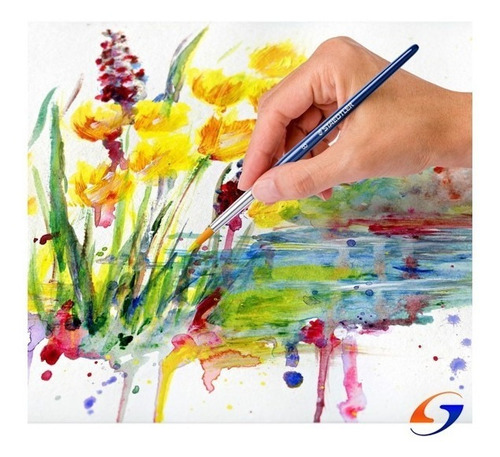 Imagen 4 de 6 de Pintura Acrilica Staedtler En Pomo X24 Servicioapelero