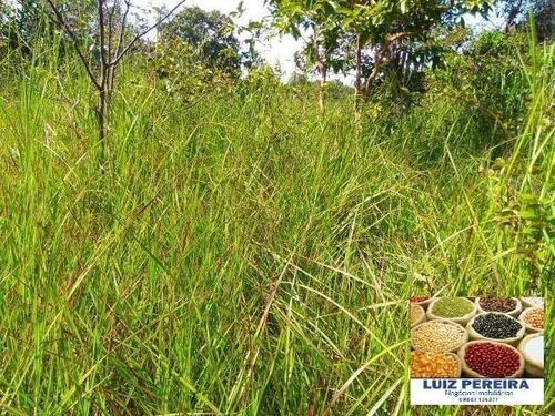 Imagem 4 de 12 de Fazenda À Venda Em Itacajá - T0 - De 230 Alqueirões (dupla Aptidão) - 1620