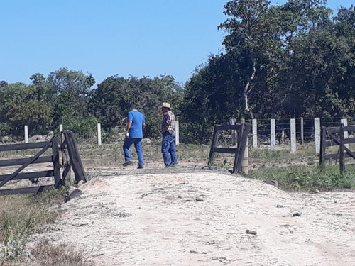 Imagem 16 de 28 de Fazenda À Venda, 3.106 Ha Por R$ 30.000.000 - Zona Rural - Cocalinho/mt - Fa0002