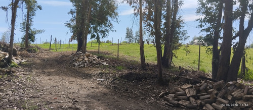 Parcela De 6,5 Ha En Comuna Rio Claro, Region Del Maule,