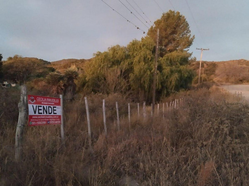 Venta De 20 Hectáreas Sobre Ruta En Tala Cañada...ref 1557