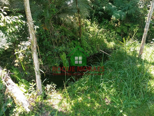 Imagem 17 de 20 de Chácara Com 2000 M² Em Juquitiba-sp Ref.: 856
