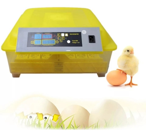 Incubadora De Pollos 48 Huevos