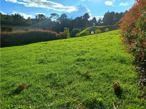 Lote En Venta Sector Alto De Palmas Envigado