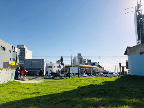 Imagen 13 de 14 de Alquiler - Espectacular Lote De 485m2 Sobre Av. Constitución