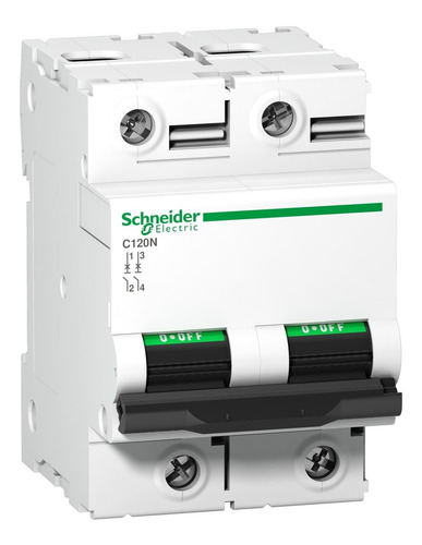 Imagen 1 de 2 de Interruptor Schneider Electric Termomagnético 2p 100a Curvac