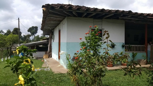 Venta Finca Filandia Vereda Bambuco Alto