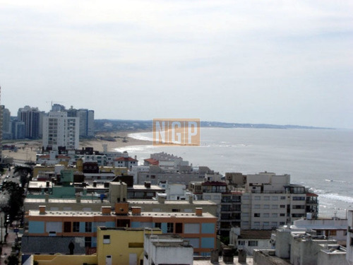 Imagen 9 de 27 de Apartamento En Peninsula, 3 Dormitorios *