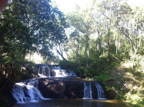 Imagem 11 de 25 de Fazenda Rural À Venda, Santa Luzia, Santa Isabel. - Fa0001