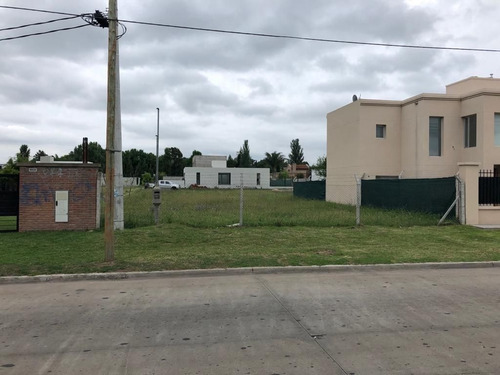 Importante Lote En Gonnet Sobre Avenida 25